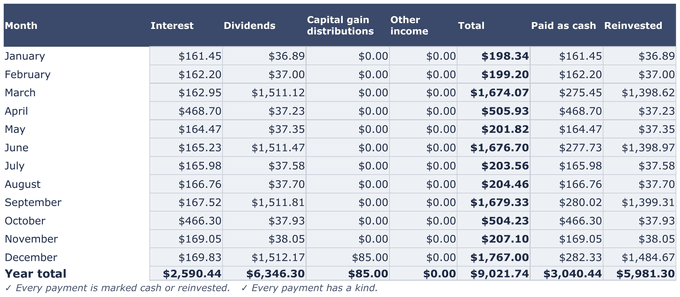 Year Summary: income by month, split into interest, dividends, paid as cash and reinvested.